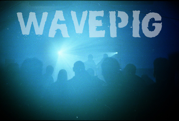 Wavepig Punk!